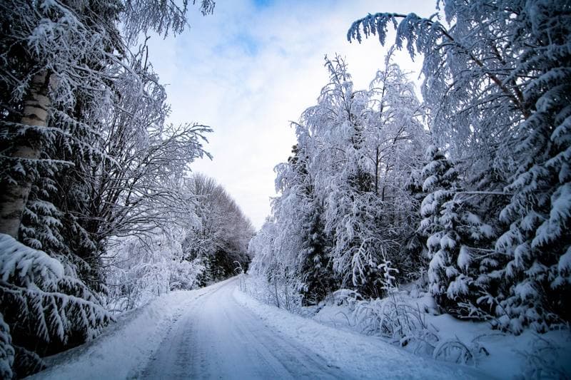Motorsport. WRC. Rally Sweden. 12.02.2026