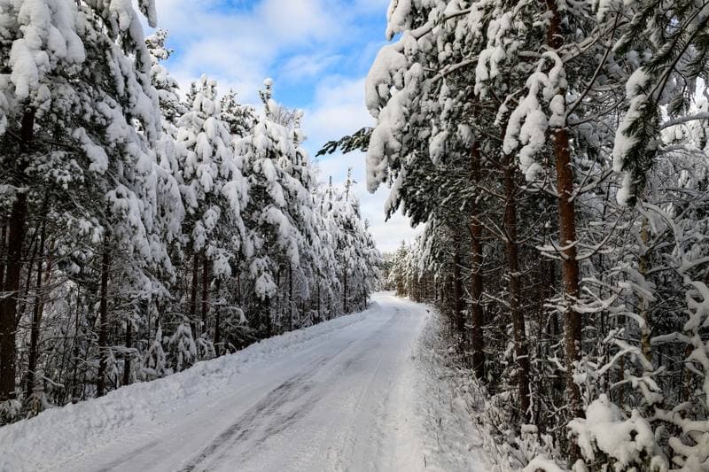 Motorsport. WRC. Rally Sweden. 12.02.2026