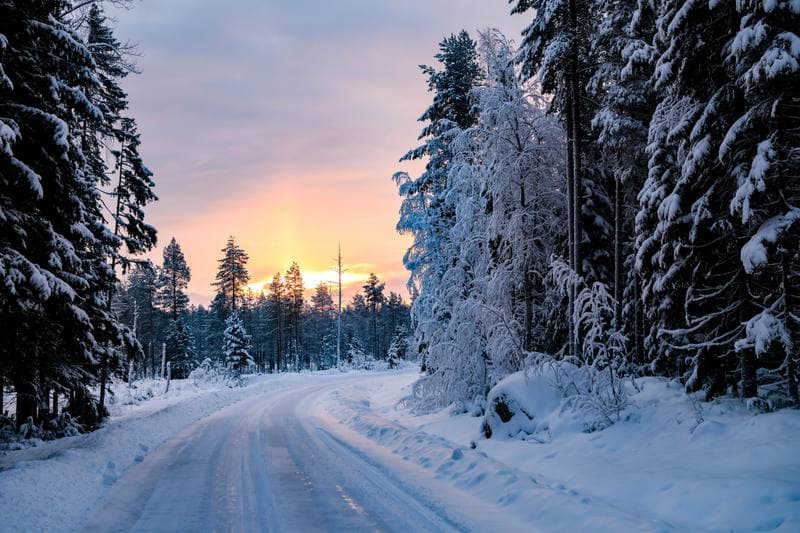Motorsport. WRC. Rally Sweden. 12.02.2026