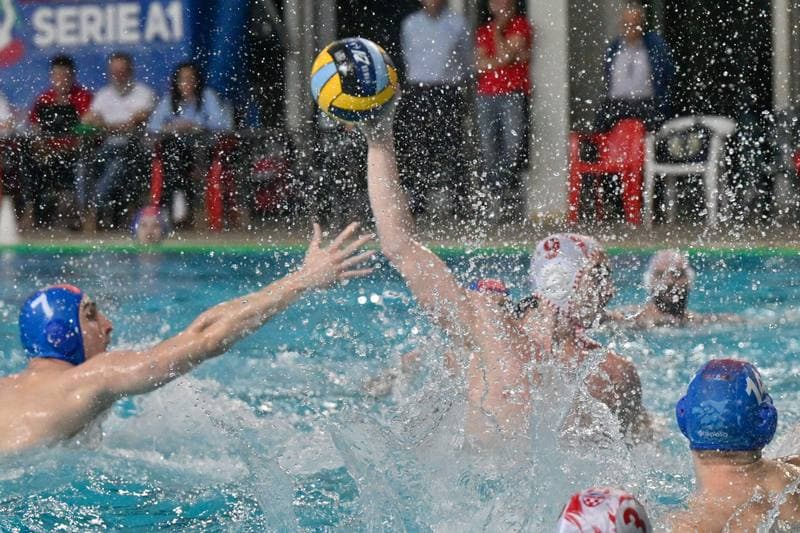 Water Polo. LEN Euro Cup. Banco BPM RN Savona - CSA Steaua Bucuresti. 12.02.2026