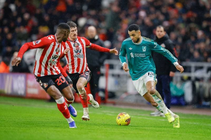 Football. Premier League. Sunderland - Liverpool. 11.02.2026