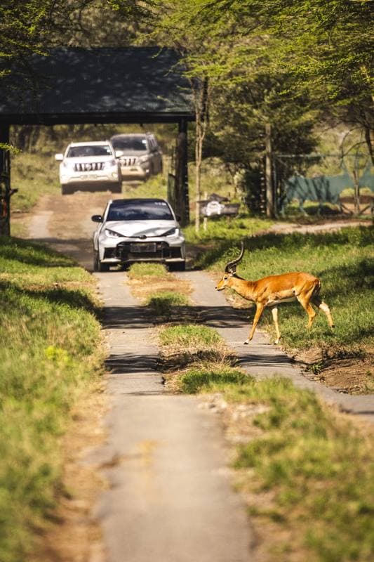 Motorsport. WRC. Safari Rally Kenya. 12.03.2026