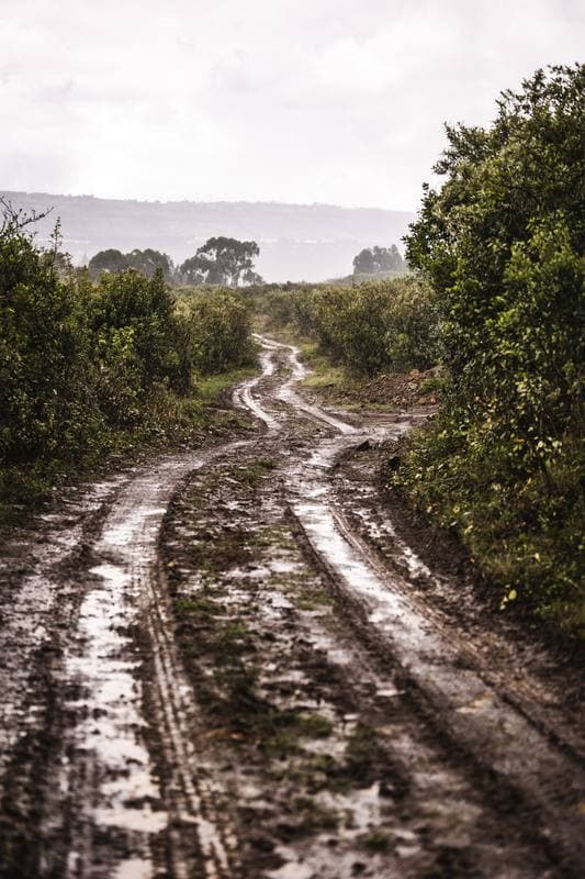 Motorsport. WRC. Safari Rally Kenya. 12.03.2026