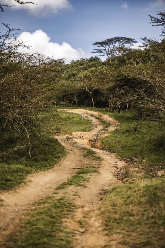 Motorsport. WRC. Safari Rally Kenya. 12.03.2026