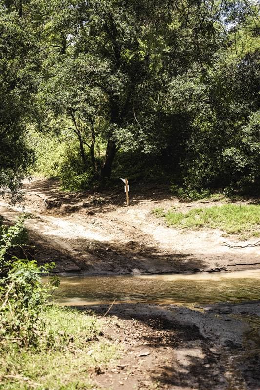 Motorsport. WRC. Safari Rally Kenya. 12.03.2026