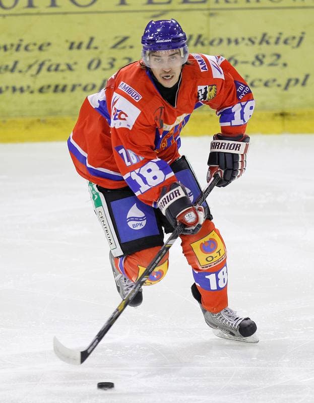 Ice Hockey. Polska Hokej Liga. HC GKS Katowice - Polonia Bytom. 04.11.2014