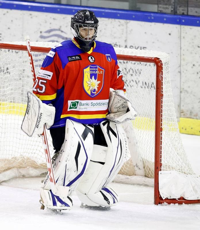 Ice Hockey. Polska Hokej Liga. Naprzod Janow - Podhale Nowy Targ. 14.11.2014