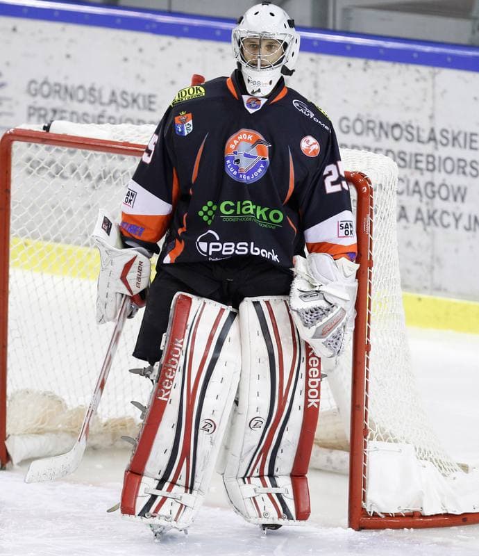 Ice Hockey. Polska Hokej Liga. HC GKS Katowice - Ciarko PBS Bank Sanok. 02.11.2014