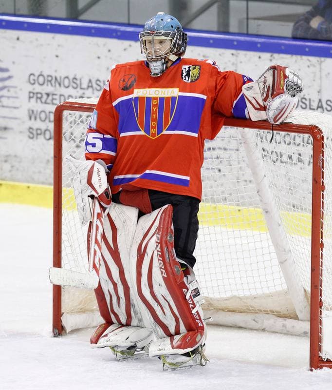 Ice Hockey. Polska Hokej Liga. Naprzod Janow - Polonia Bytom. 02.11.2014