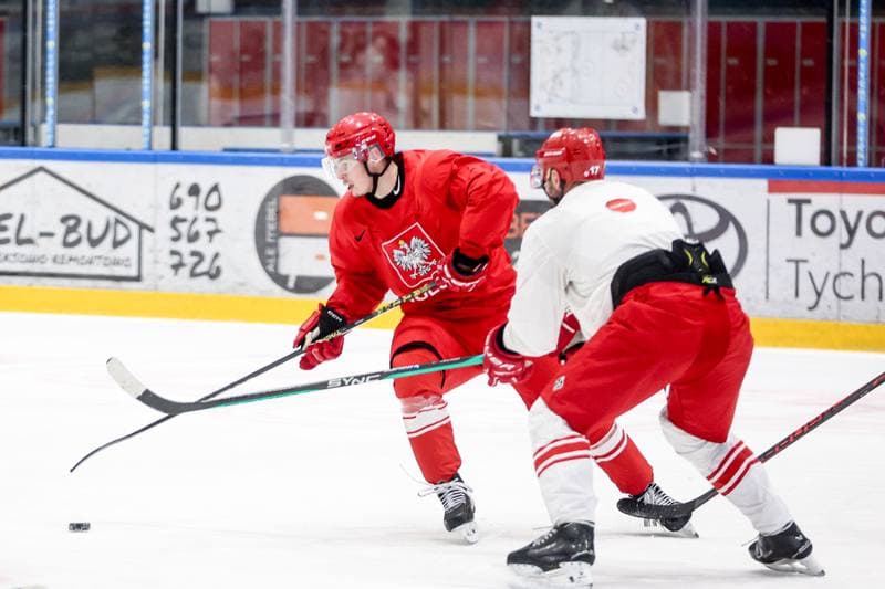 Ice Hockey. Poland national team. Training. 14.04.2026