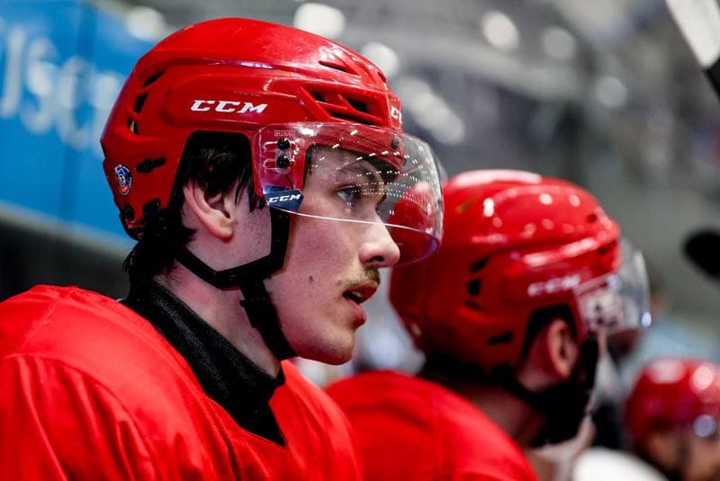 Ice Hockey. Poland national team. Training. 14.04.2026
