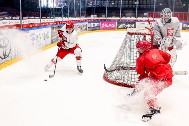 Ice Hockey. Poland national team. Training. 14.04.2026