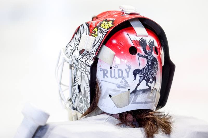 Ice Hockey. Poland national team. Training. 14.04.2026