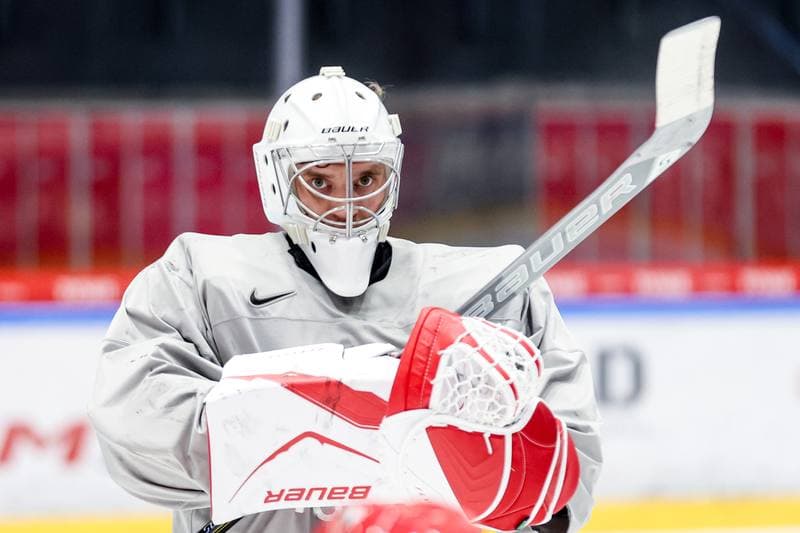 Ice Hockey. Poland national team. Training. 14.04.2026