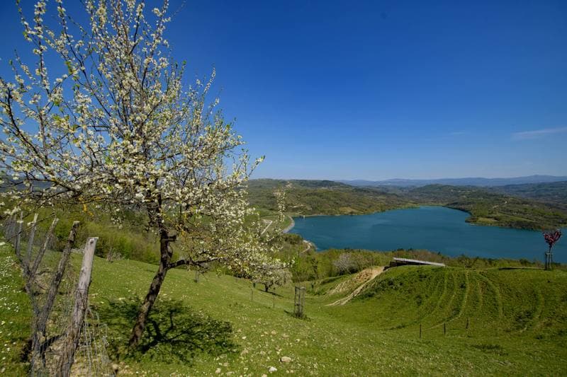 Motorsport. WRC. Croatia Rally. 11.04.2026