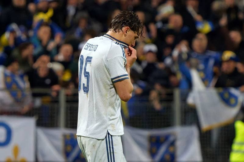 Football. FIFA World Cup Qualifiers. Bosnia and Herzegovina - Italy. 31.03.2026