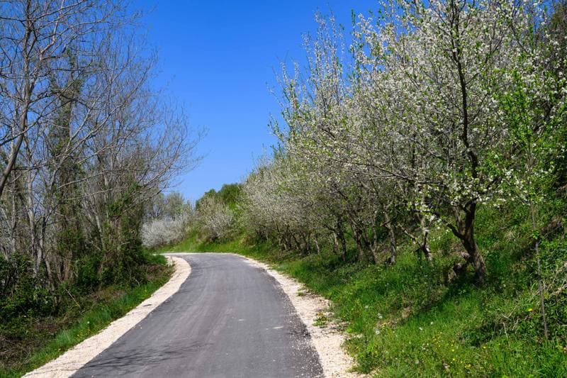 Motorsport. WRC. Croatia Rally. 11.04.2026