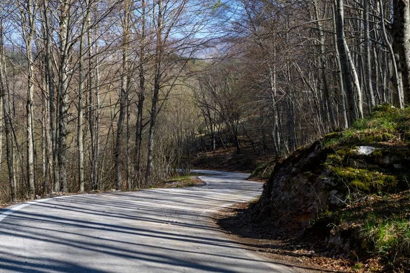 Motorsport. WRC. Croatia Rally. 11.04.2026