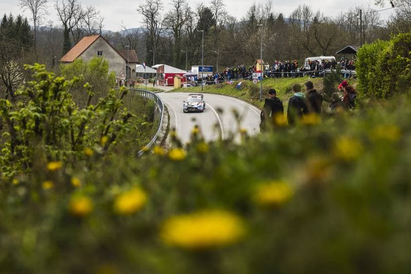 Motorsport. WRC. Croatia Rally. 09.04.2026
