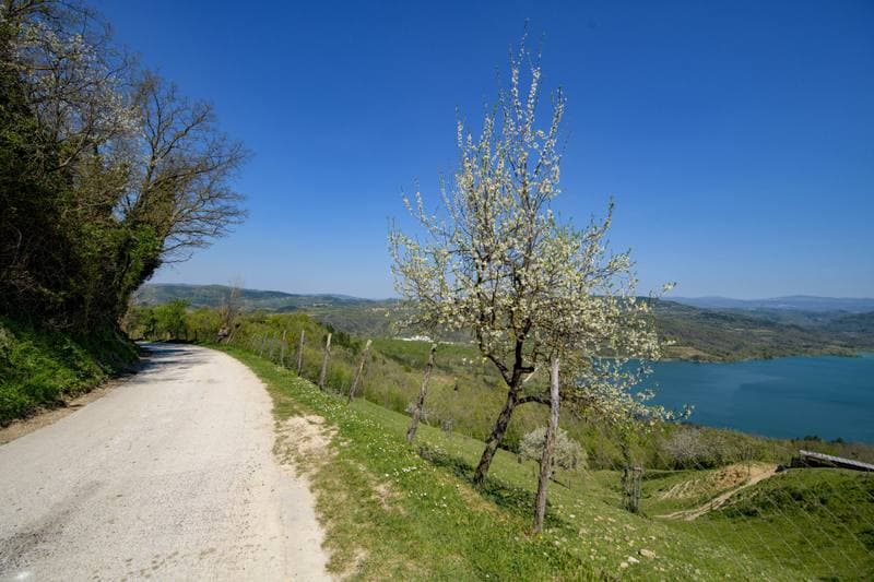 Motorsport. WRC. Croatia Rally. 11.04.2026