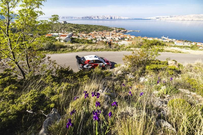 Motorsport. WRC. Croatia Rally. 09.04.2026