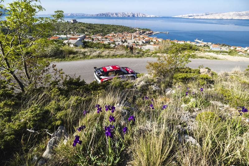 Motorsport. WRC. Croatia Rally. 09.04.2026