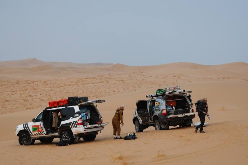 Motorsport. Dakar Rally. Stage 10. 14.01.2026