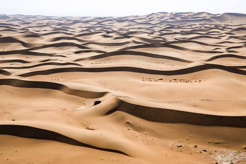 Motorsport. Dakar Rally. Stage 10. 14.01.2026