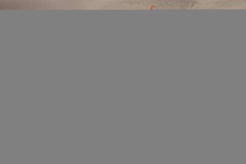 Motorsport. Dakar Rally. Stage 10. 14.01.2026