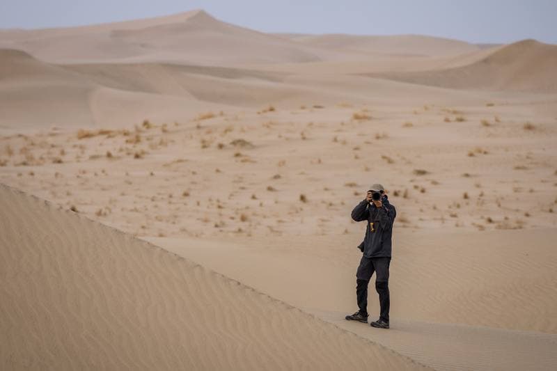 Motorsport. Dakar Rally. Stage 10. 14.01.2026