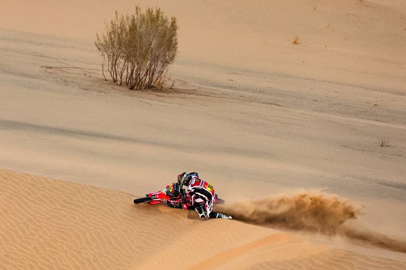 Motorsport. Dakar Rally. Stage 10. 14.01.2026