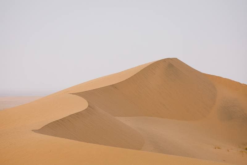 Motorsport. Dakar Rally. Stage 10. 14.01.2026