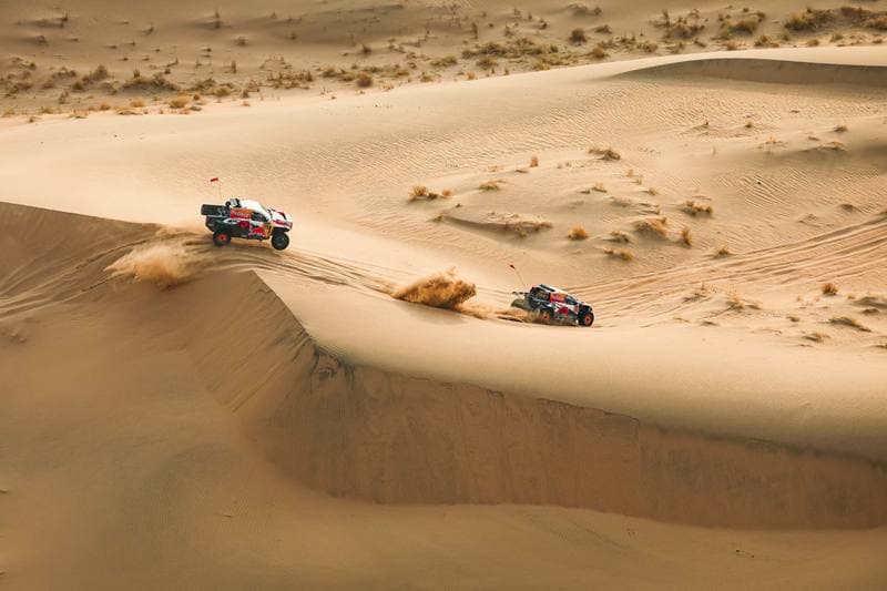 Motorsport. Dakar Rally. Stage 10. 14.01.2026