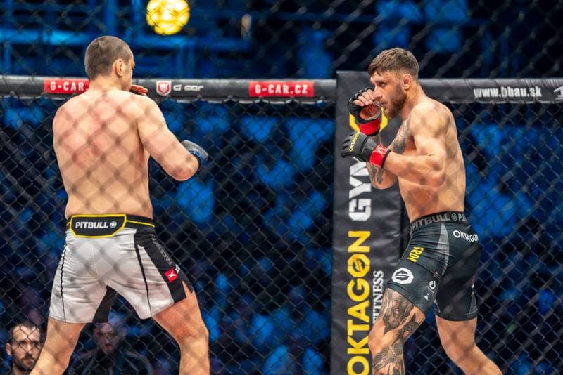 MMA. Oktagon. Ion Surdu - Amiran Gogoladze. 11.04.2026