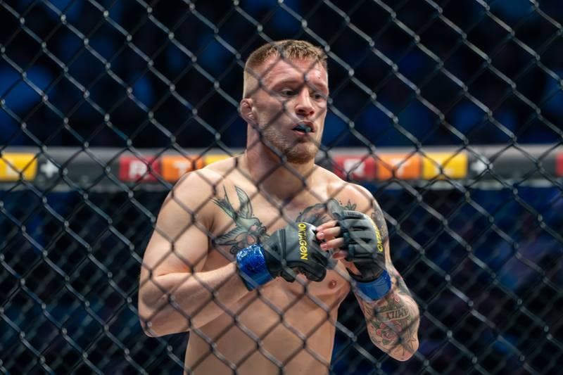 MMA. Oktagon. Lukas Chotenovsky - MichaA Hawro. 11.04.2026