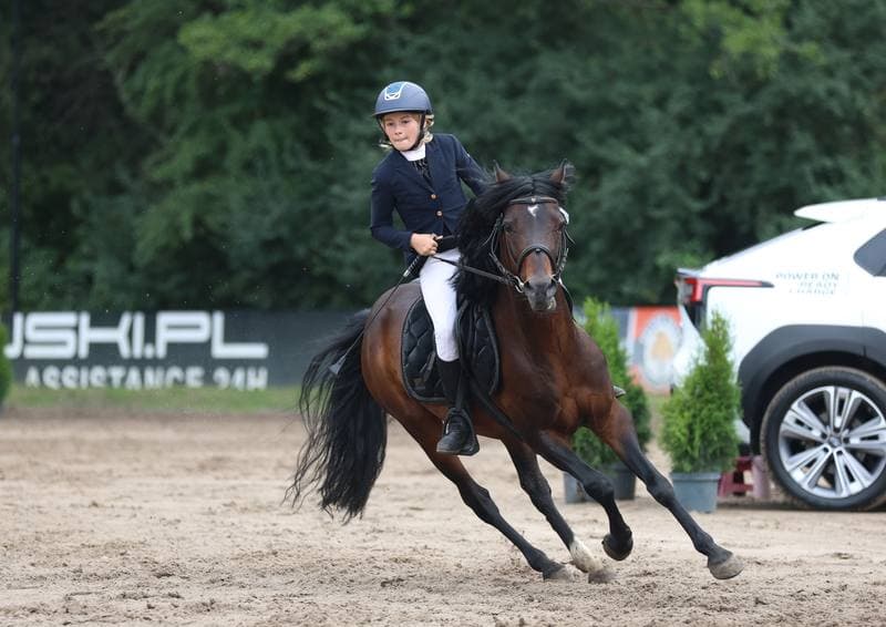 Equestrian. Polish Amateur Equestrian Championships. Day 1. 08.08.2025