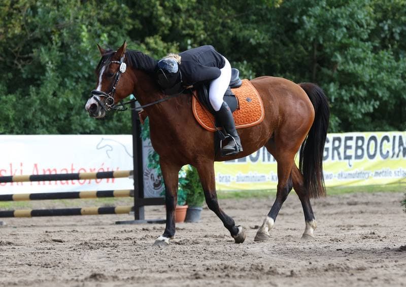 Equestrian. XXVIII Polish Amateur Equestrian Championships. Day 1. 10.08.2025
