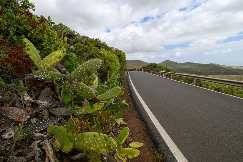 Motorsport. WRC. Rally Islas Canarias. 23.04.2026