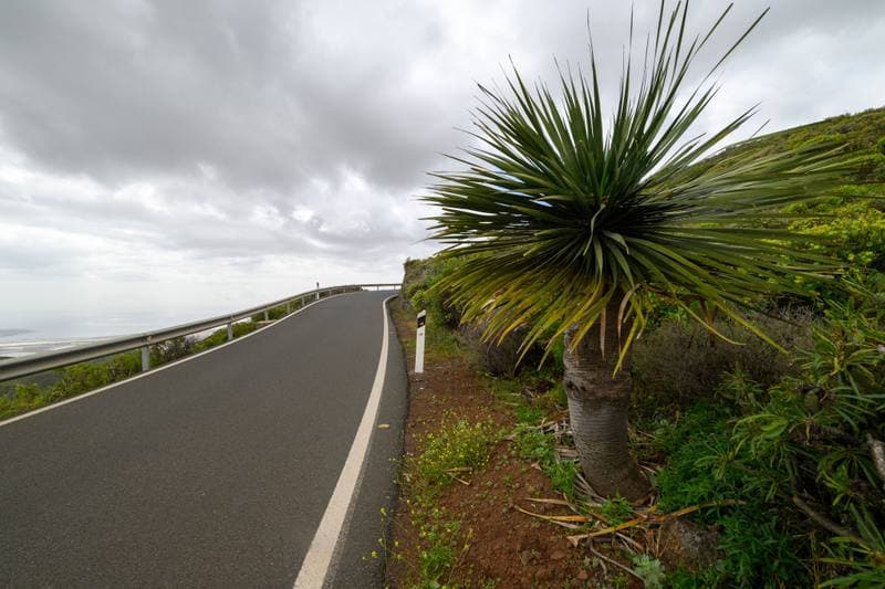 Motorsport. WRC. Rally Islas Canarias. 23.04.2026