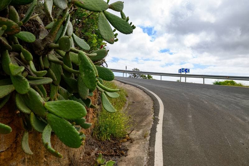 Motorsport. WRC. Rally Islas Canarias. 23.04.2026