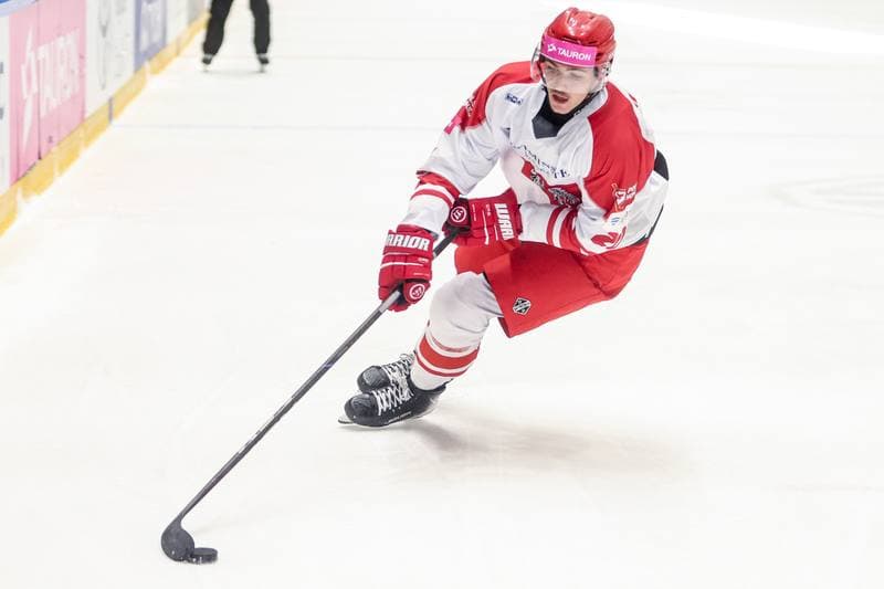 Ice Hockey. International Friendly. Poland - Slovenia. 25.04.2026