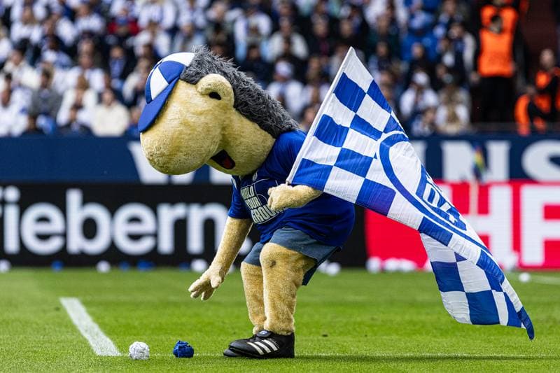 Football. 2. Bundesliga. Schalke 04 - Eintracht Braunschweig. 17.05.2026