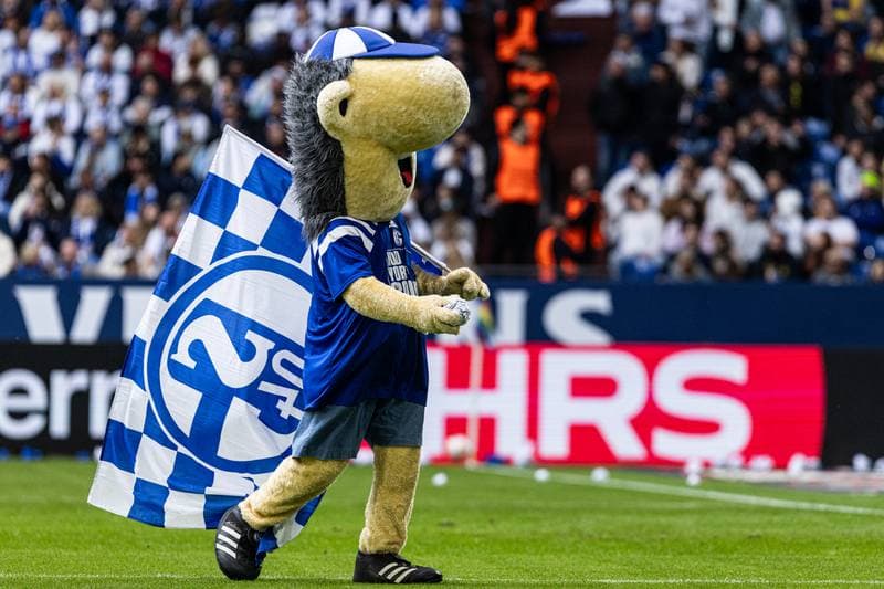 Football. 2. Bundesliga. Schalke 04 - Eintracht Braunschweig. 17.05.2026