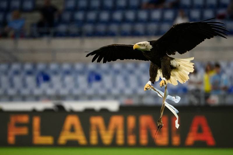 Football. Serie A. SS Lazio - Pisa SC 1909. 23.05.2026
