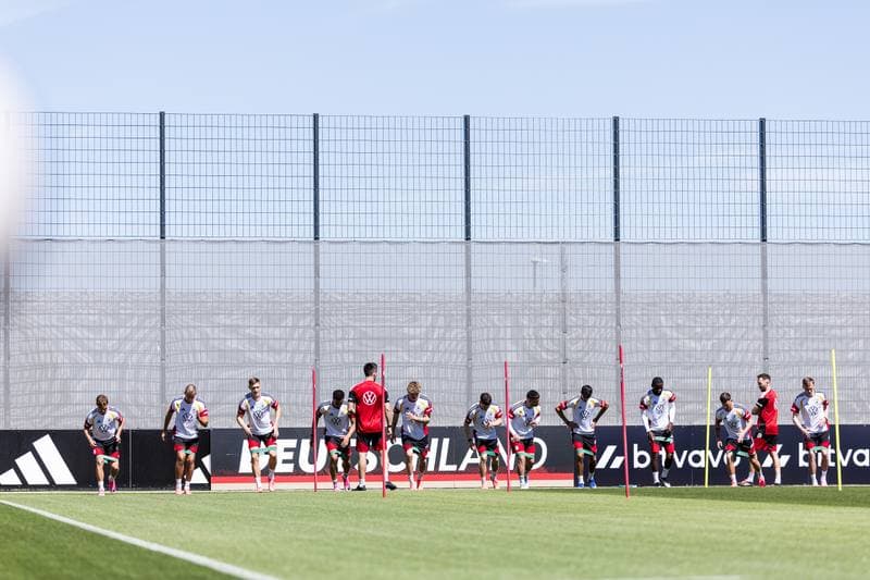 Football. Germany. Training. 28.05.2026