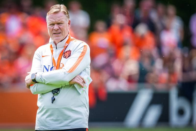 Football. Netherlands. Training. 31.05.2026