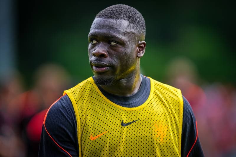Football. Netherlands. Training. 31.05.2026