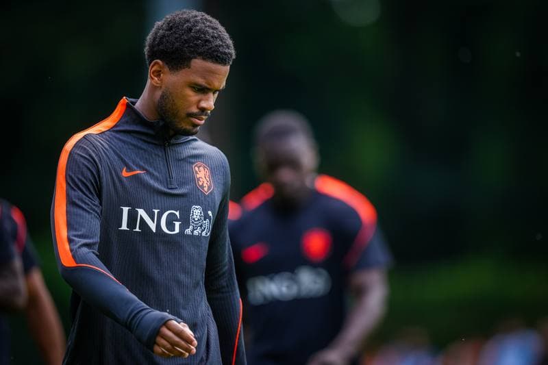 Football. Netherlands. Training. 31.05.2026