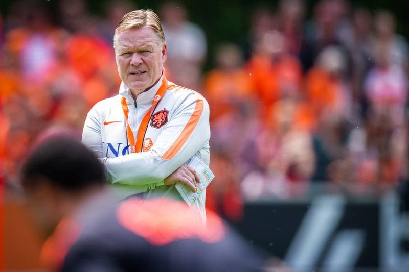 Football. Netherlands. Training. 31.05.2026