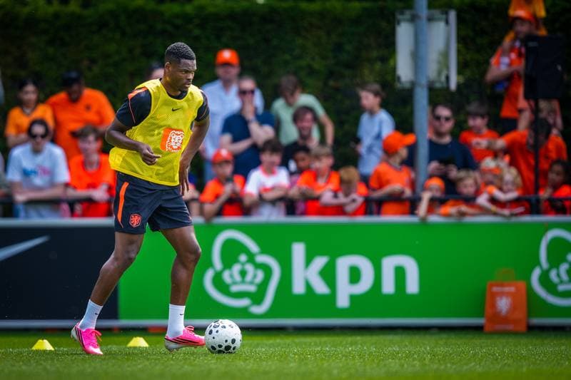 Football. Netherlands. Training. 31.05.2026
